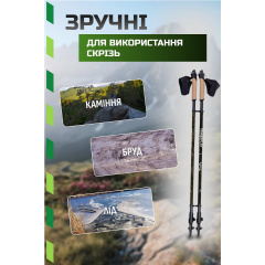 Палки для скандинавской ходьбы PowerPlay 9105 Sisu 80-135 см Black Gold Чорноморськ