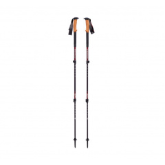 Трекинговые палки Black Diamond W Trail Cork Cherrywood (1033-BD 1125272009ALL1) Вінниця