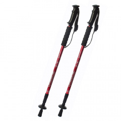 Треккинговые палки для скандинавской ходьбы 2 шт Feel Fit MS 2019-1-RD Красный Київ