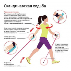Треккинговые палки для скандинавской ходьбы 2 шт Feel Fit MS 2019-1-RD Красный Київ