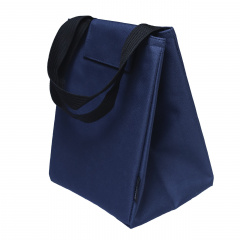 Термосумка Лайт VS Thermal Eco Bag синий Нововолинськ