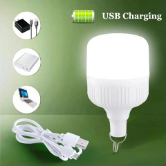 Лампа на крючке VigohA 10W micro USB Городок