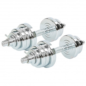 Гантели SP-Sport TA-8054-25 25кг Хром