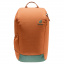 Рюкзак Deuter Stepout 16 л Chestnut (1052-3815123 9206) Нововолинськ