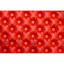 Надувной коврик Sea To Summit Air Sprung Comfort Plus Insulated Mat Regular Красный Киев