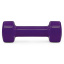 Гантели виниловые PowerPlay 4125 Achilles 2*2.5 кг Фиолетовые (2шт.) Токмак