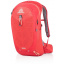 Рюкзак Gregory Maya 22 Красный (1053-111478/1710) Київ