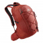 Рюкзак Gregory Kiro 22 л Brick Red (1053-136982/1129) Луцьк