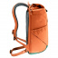 Рюкзак Deuter Stepout 22 л Chestnut-Ivy (1052-3815223 9206) Борисполь
