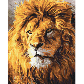 Картина за номерами BrushMe "Погляд на прайд" 40х50см BS52292