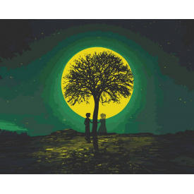 Картина за номерами Art Craft Примарна зустріч 40х50 см 10548-AC