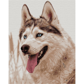 Картина за номерами BrushMe "Вовк" 40х50см BS51763