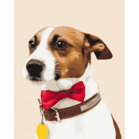 Картина за номерами BrushMe "Собачка чемпіон" 40х50 см BS51330