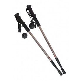 Палки для треккинга Antishock пара Silver (004)