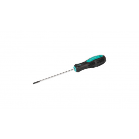 Викрутка TORX TT10*100 MASTERTOOL GM (49-0101)