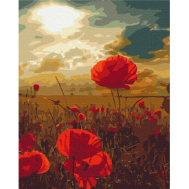 Картина за номерами BrushMe "Маки під палаючим сонцем" 40х50см BS51961