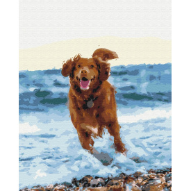 Картина за номерами Brushme Собачка в морі 40х50 см Різнокольоровий BS51436