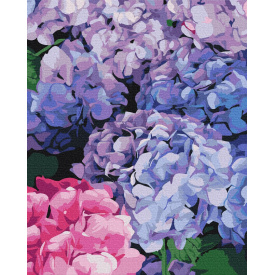 Картина за номерами BrushMe "Яскрава гортензія" 40х50см BS51667