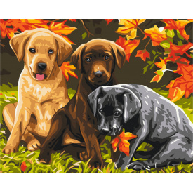 Картина за номерами BrushMe "Три цуценя" 40х50см BS6530