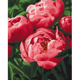 Картина за номерами BrushMe "Насичений колір півоній" 40х50см BS51711