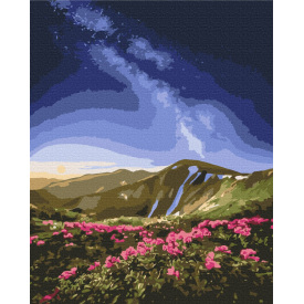 Картина за номерами BrushMe "Чорногора © Roksolana Baran" 40х50см BS53753