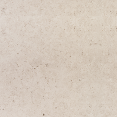 Limestone Вапняк Branco Stellar Київ