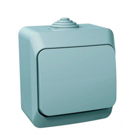 Выключатель 1-клавишный серый Cedar Plus