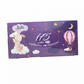 Сухі двошарові серветки Softa ТМ Chisto 20х20 см 175 шт