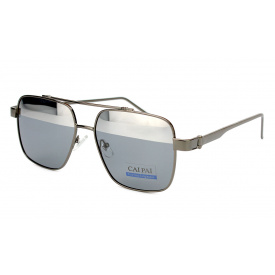 Окуляри для водіїв Cai Pai W107-C2 Сірий (23516)