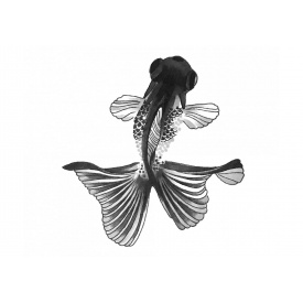 Тимчасове перекладне тату Рибка ArleySign 50x55 мм