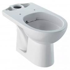 Унітаз підлоговий Geberit Selnova Comfort для осіб з обмеженими можливостями Rimfree (500.486.01.7)