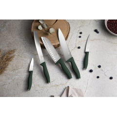 Набор ножей Berlinger Haus Matte Green 6 предметов Зеленый (BH-2978) Токмак