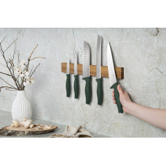 Набор ножей Berlinger Haus Matte Green 6 предметов Зеленый (BH-2978) Токмак