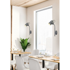 Бра Candellux Gray 19x39 см Сірий (91-66527) Черкаси