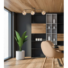 Спот Candellux Rodia 66x18 см Коричневий (93-16546) Золотоноша