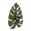 Настінний світильник TK Lighting Monstera 35x39 см Зелений (TK4668) Коростень