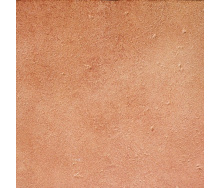 Плитка Exagres BASE P VEGA ROJO 8х330х330 мм