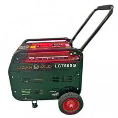 Бензиновый генератор LICAN WILD LC7500G максимальная мощность 3 кВт Тячів