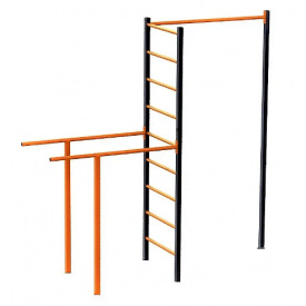 Спорткомплекс для улиці Dali-203 шведская стенка с брусьями+турник