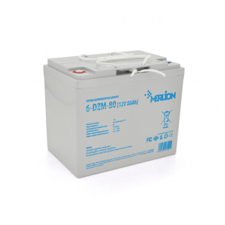 Тяговая аккумуляторная батарея AGM Merlion 6-DZM-80 12V 80Ah