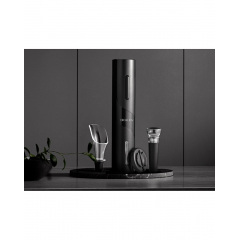 Винный набор Circle Joy Electric Wine Opener Gift Set 5 in 1 (CJ-TZ08) Лубни