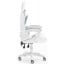 Компьютерное кресло Hell's Rainbow Individual White (5904204981170) Киев