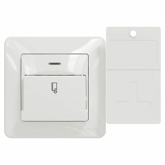 Карточный выключатель Schneider Electric Sedna Design & Elements белый (SDD111121) Кропива