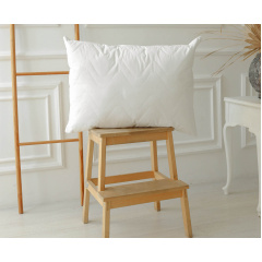 Подушка Політ в емпіреї Вараш