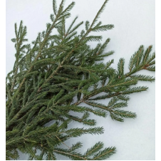 Елочные ветки натуральные