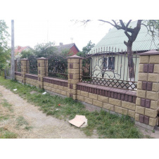 Забор кованый Ира ( Іра) без пластику