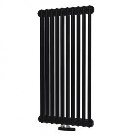 Дизайнерський вертикальний радіатор Irsap Tesi 2 Cod.50 900x450 Black