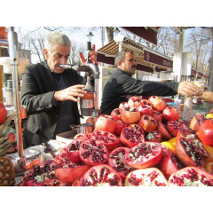 Пресс для цитрусовых и гранат Cancan 0102 Київ