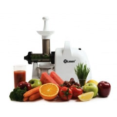 Lexen Healthy Juicer Electric шнековая соковыжималка, серый Белый Київ