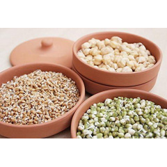 Глиняні горщики для пророщування Hawos Toni Clay Sprouter Доманівка